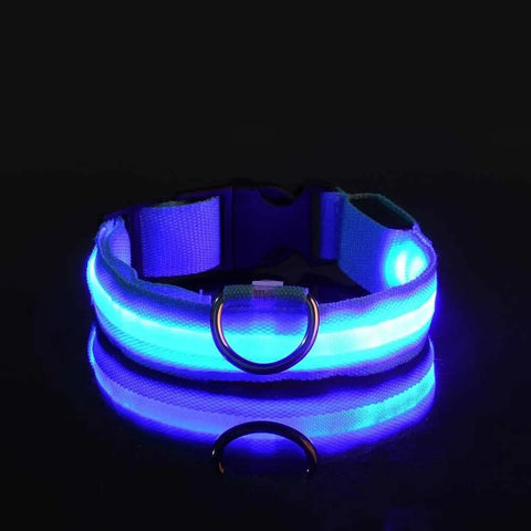 LED Rechargeable Dog Collar