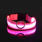 LED Rechargeable Dog Collar