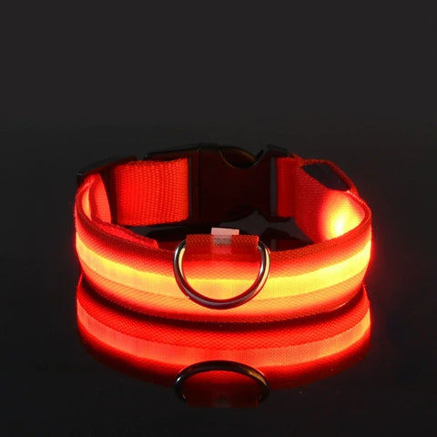 LED Rechargeable Dog Collar