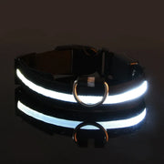 LED Rechargeable Dog Collar