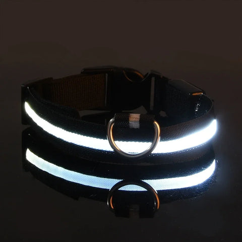 LED Rechargeable Dog Collar