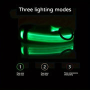 LED Rechargeable Dog Collar