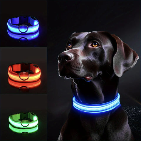 LED Rechargeable Dog Collar